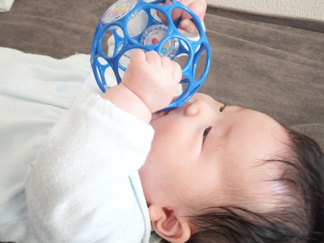 駒込の保育園情報について