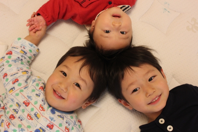 文京区の人気小学校の学区について