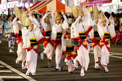 駒込・巣鴨・大塚のお祭り