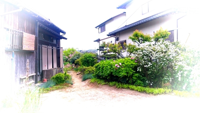 【空き家】ニュースで伝えられる困った状況